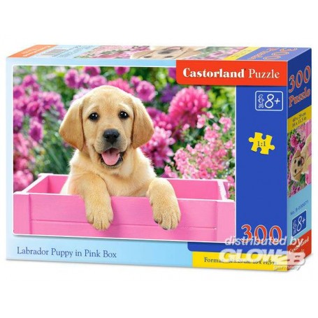 Puzzle Puzzle Cucciolo di Labrador in Pink Box, Puzzele 300 T