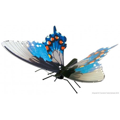 Kit modello in metallo Farfalla Pipevine Swallowtail