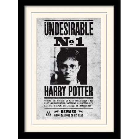  HARRY POTTER - Undesirable No1 - Stampa incorniciata 30x40