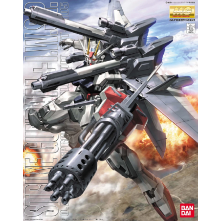 Gunpla GUNDAM - MG Strike Gundam + IWSP 1/100 - Kit modello
