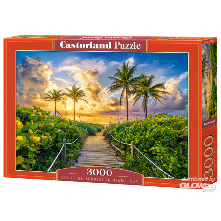  Colorful Sunrise in Miami, USA Puzzle 3000 Piece