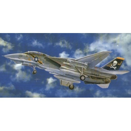 Kit modello Grumman F-14A Tomcat