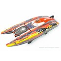 Barche RC Brushless 